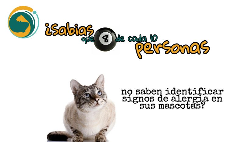 Alergias de temporada