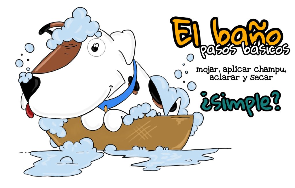 Mi mascota y el baño: ¿qué debo saber?